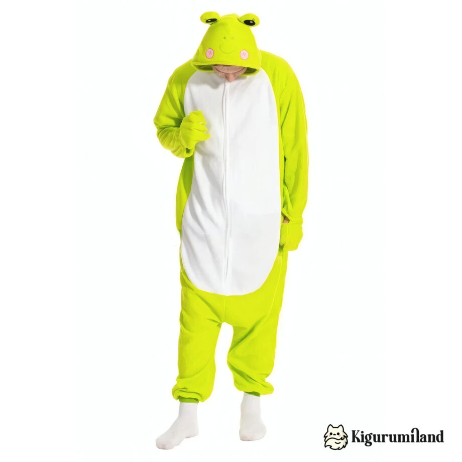 kigurumi grenouille homme face casual